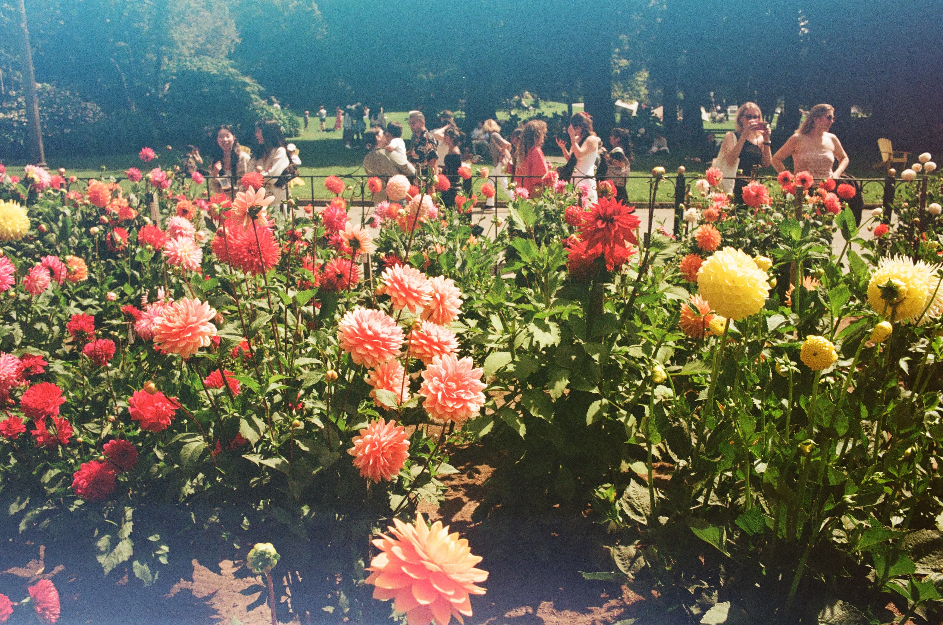 IMG_1054.jpeg