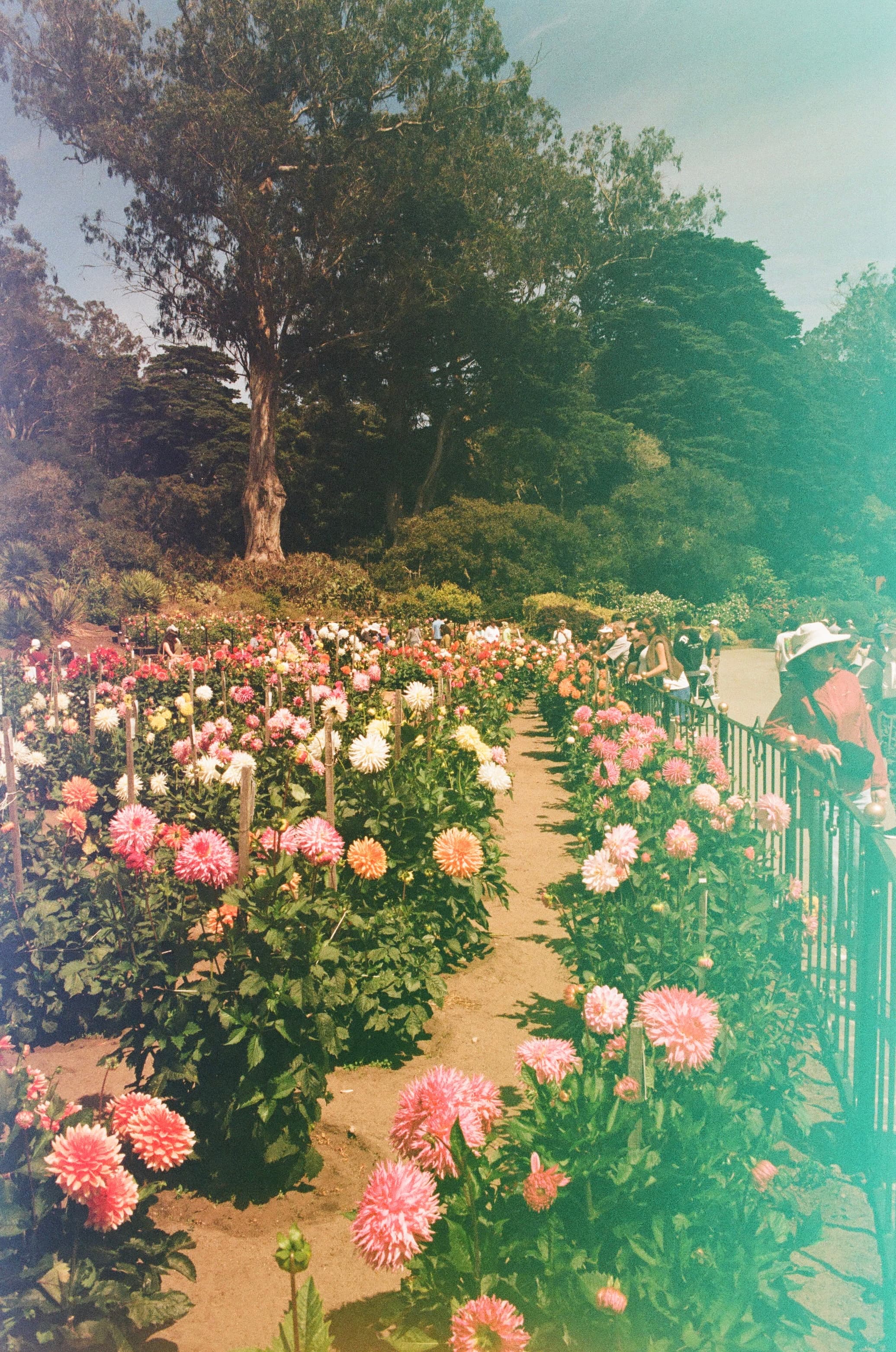 IMG_1072.jpeg
